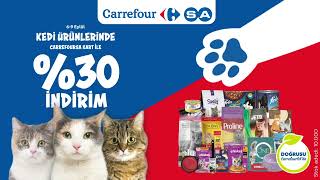 CarrefourSA ile kedi festivali başlıyor 💙 [upl. by Ettennaej]