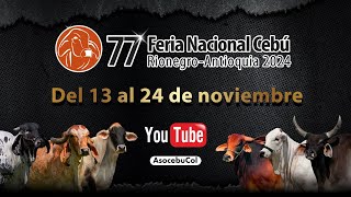 77° Feria Nacional Cebú Rionegro  Antioquia 2024  Día 3 [upl. by Allard]