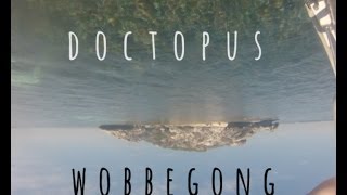 Doctopus  Wobbegong [upl. by Raycher]