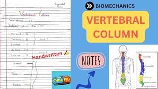 VERTEBRAL COLUMN NOTES📚 BIOMECHANICS Physiotherapy 2nd Yr💥 [upl. by Milon]