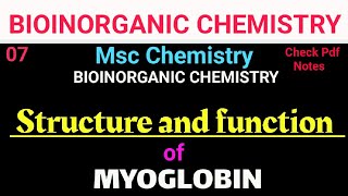 Structure and function of Myoglobin mscchemistrynotes bscchemistry itschemistrytime [upl. by Gebler]