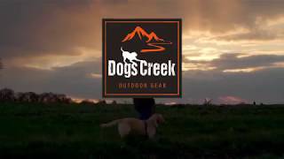 Maxi Zoo  Dogs Creek  Avontuurlijke hondenspeeltjes [upl. by Moynahan]