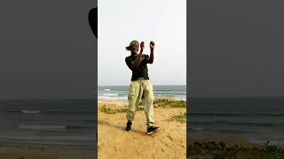 The Pouncing Cat Dance From South Africa dance afrodance amapianodance fypシ dancemoves [upl. by Joacima]