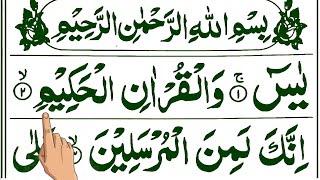 Morning Surah Yasin Yaseen Recitation  سورہ یس  Surah Yaseen with Translation  Episode 292 [upl. by Rip484]