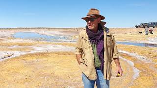 Fossilised stromatolites in Lake Torrens [upl. by Elfrida]