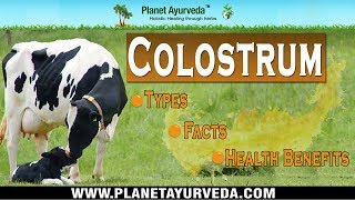 Colostrum  Types Cow Colostrum Health Benefits amp Facts [upl. by Sharpe810]