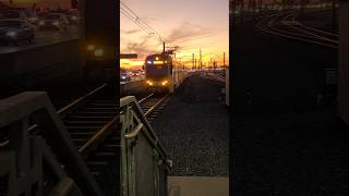 LA Metro Rail A Line train arrives at Sierra Madre Villa Station during a smoky sunset trains [upl. by Brower692]