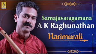 Samajavaragamana  a carnatic flute concert by AKRaghunathan  Hari Murali [upl. by Endres]