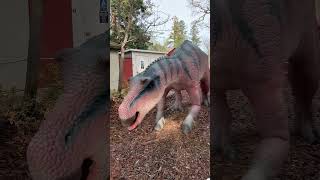 Maiasaura ❤️❤️❤️ youtubeshorts maiasaura california thanksforwatchingthisvideo [upl. by Luap210]