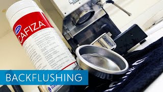 Backflushing The Gaggia Classic Pro with Cafiza  Maintenance for Espresso Machines [upl. by Hamfurd]