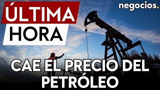 ÚLTIMA HORA  Los precios del petróleo caen tras su repunte por las tensiones en el Mar Rojo [upl. by Ataymik]