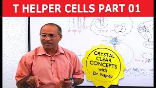 T Helper Cells  Immunology  Part 110 [upl. by Horne]