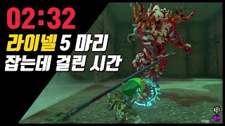 투기장 라이넬5 마리 2분대에 잡기  젤다 왕눈 [upl. by Aihn128]