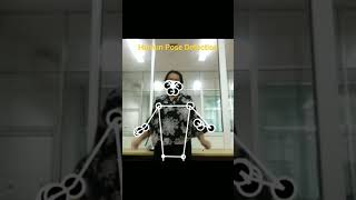 Human Pose Detection Using BlazePose [upl. by Eerrehc]