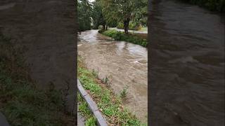 Hochwasser Lage aktuell angespannt Dauerregen Regen Starkregen Unwetter Überschwemmung jetzt Wien NÖ [upl. by Konikow]