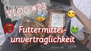 VLOG 23  Futtermittelunverträglichkeit [upl. by Magner111]