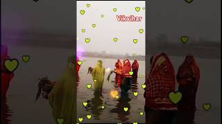 🌻💮copy copy Boleli Chhathi Maiya songdevi ke chhath puja short💮🌻viralvideo youtubeshorts [upl. by Gayel565]