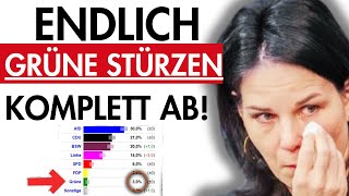 💥BrandenburgUmfrage Grüne IM FREIEN FALL AfD auf REKORDHOCH [upl. by Orvas]