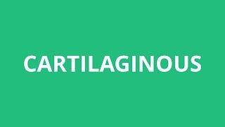 How To Pronounce Cartilaginous  Pronunciation Academy [upl. by Verbenia]