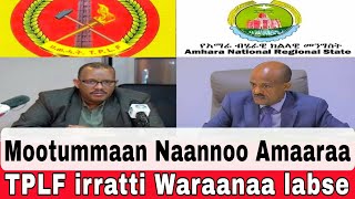 Oduu Afaan Oromoo guyyaa haraabbcafanoromo voaafanoromo [upl. by Marka]