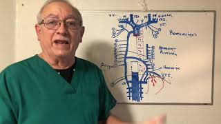 Gran vena Acigos y Hemiacigos Anastomosis cavacava porterior [upl. by Eve540]