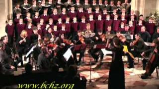 Bratislava Boys´ Choir J Haydn  Insanae et vanae curae [upl. by Esenwahs]