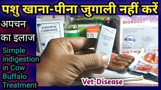 VetDisease Simple indigestion in Cow Buffalo SymptomsDiagnosis amp Treatmentअपचन का इलाज [upl. by Latashia969]