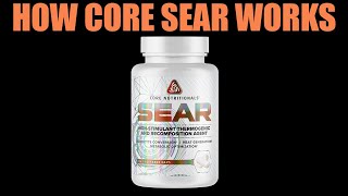 CORE SEAR StimulantFree Fat Burner  Scientific Breakdown [upl. by Yrallam997]