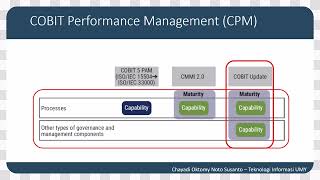 COBIT 2019 Capability Level [upl. by Giverin]