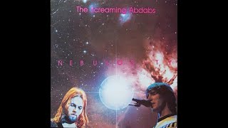 The Screaming Abdabs quotNEBULOSITYquot 1971 72 vinyl [upl. by Prosperus]