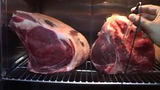 Why Choose a Maturmeat Dry Ageing Cabinet [upl. by Lalitta]