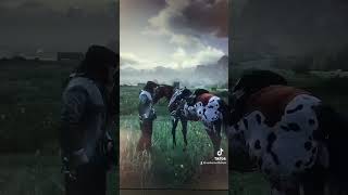 RDR2 Appaloosa reddeadredmption reddeadredemtion2 rdr2 rdrgameplay fypyoutube fypシ゚viral fy [upl. by Collis]