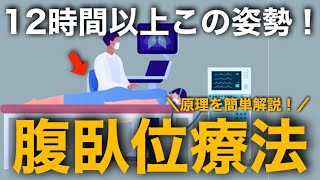 コロナや呼吸不全で実施される腹臥位療法（prone position）の原理や看護について簡単に解説 [upl. by Sloane]