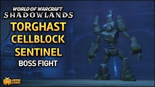 WoW Shadowlands  Torghast Cellblock Sentinel [upl. by Eisenstark]