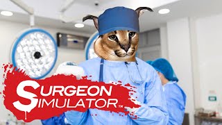 The Perfect Surgeon [upl. by Sualocin]