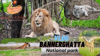 Bannerghatta National Park Safari Vlog Part 1  Wildlife Safari sanctuary Park  Travel vlog [upl. by Eemiaj]