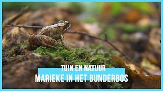 Op pad met Marieke in het Bunderbos  BinnensteBuiten [upl. by Arline]