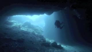 Orca Diving Ustica by Mathieu Zehnder [upl. by Thedrick420]