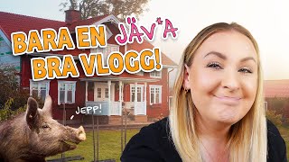 Det blir ALLTID så här🙈  VLOGG [upl. by Chelton46]