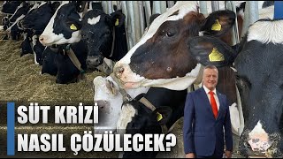 Süt Krizi Nasıl Çözülecek quotSanayici Fiyat Düşürme Sevdasından Vazgeçmeliquot [upl. by Emlynne]