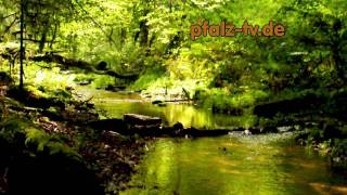 Tage im Herbst  Zuschauen  Entspannen  Nachdenken  Träumen  Sounds of Nature [upl. by Hotze103]