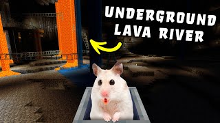 Hamster in Roller Coaster Underground amp Lava River Maze 😲 in Minecraft [upl. by Erdua]