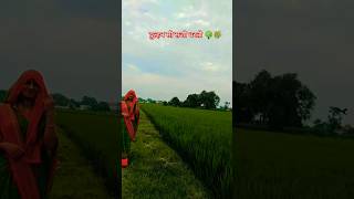 dulhan sa saji dharti khula wo asma❤️🌹 neture video  short neturalvideo [upl. by Loretta]