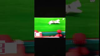 A Cat Running On The Field At Angel Stadium  Part 1 mlb laangels phillies cat [upl. by Acinorej738]