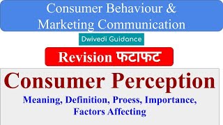 Consumer Perception Meaning Definition Process Consumer Behaviour and marketing communication [upl. by Nali852]