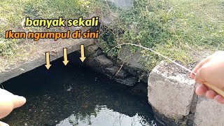 Mancing di spot parit pinggir jalan [upl. by Notaek]