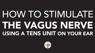 How To Stimulate the Vagus Nerve using a TENS Unit on Your Ear [upl. by Ignacio]