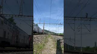 Trains In Switzerland  TGV Lyria train trainspottingtgv [upl. by Atived]