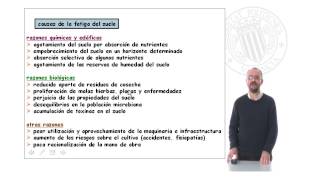 Alternativas y Rotaciones   UPV [upl. by Darryl]