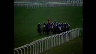 1991 Grand Annual Challenge Cup Handicap Chase [upl. by Nahpets]